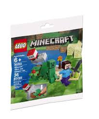 Lego Minecraft Steve & Creeper Polybag 30393